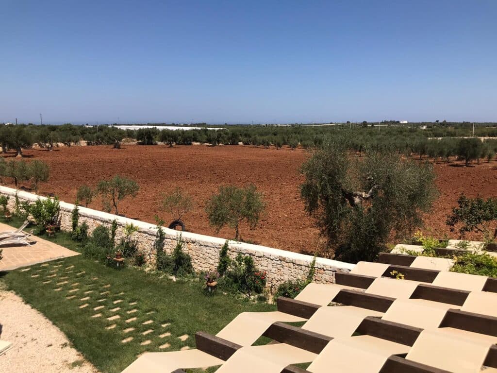 La campagna e gli uliveti intorno a Conversano